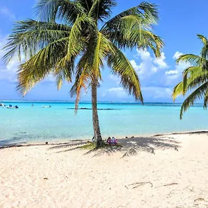 Moorea - Tropical Soul , Hauru French Polynesia